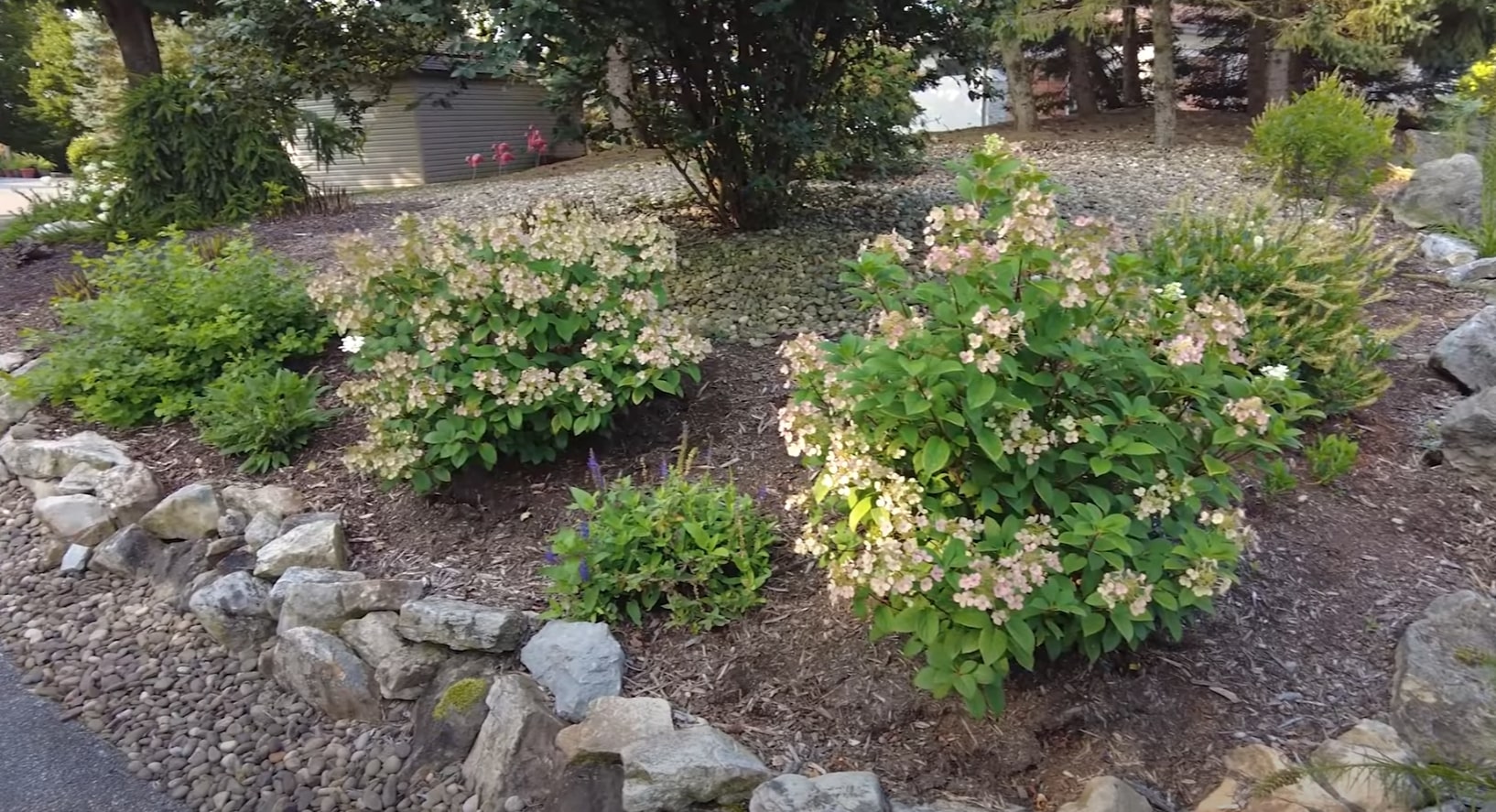 Professional landscape design featuring flowering plants and natural stone elements Beautiful landscaped garden with hydrangeas and stone pathways in Doral, FL