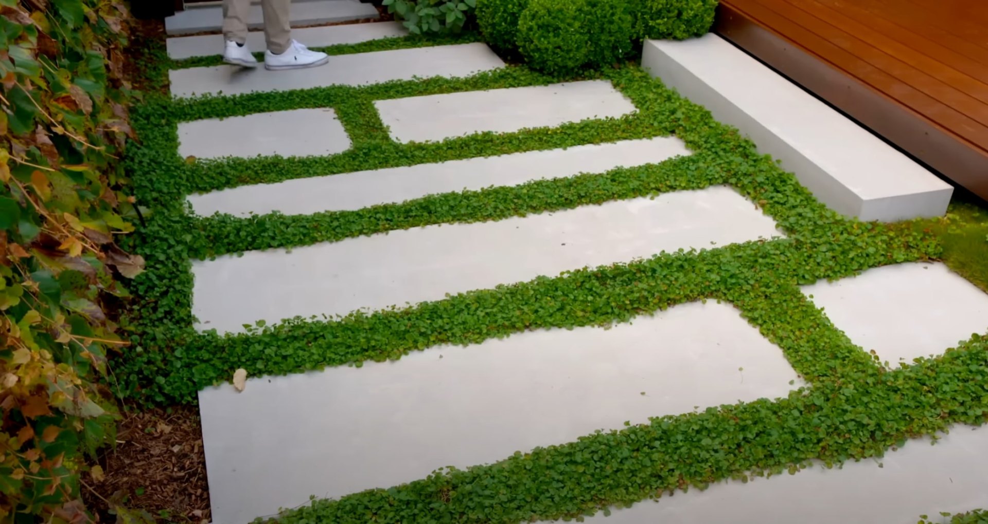 Modern hardscape design with concrete pavers and ground cover