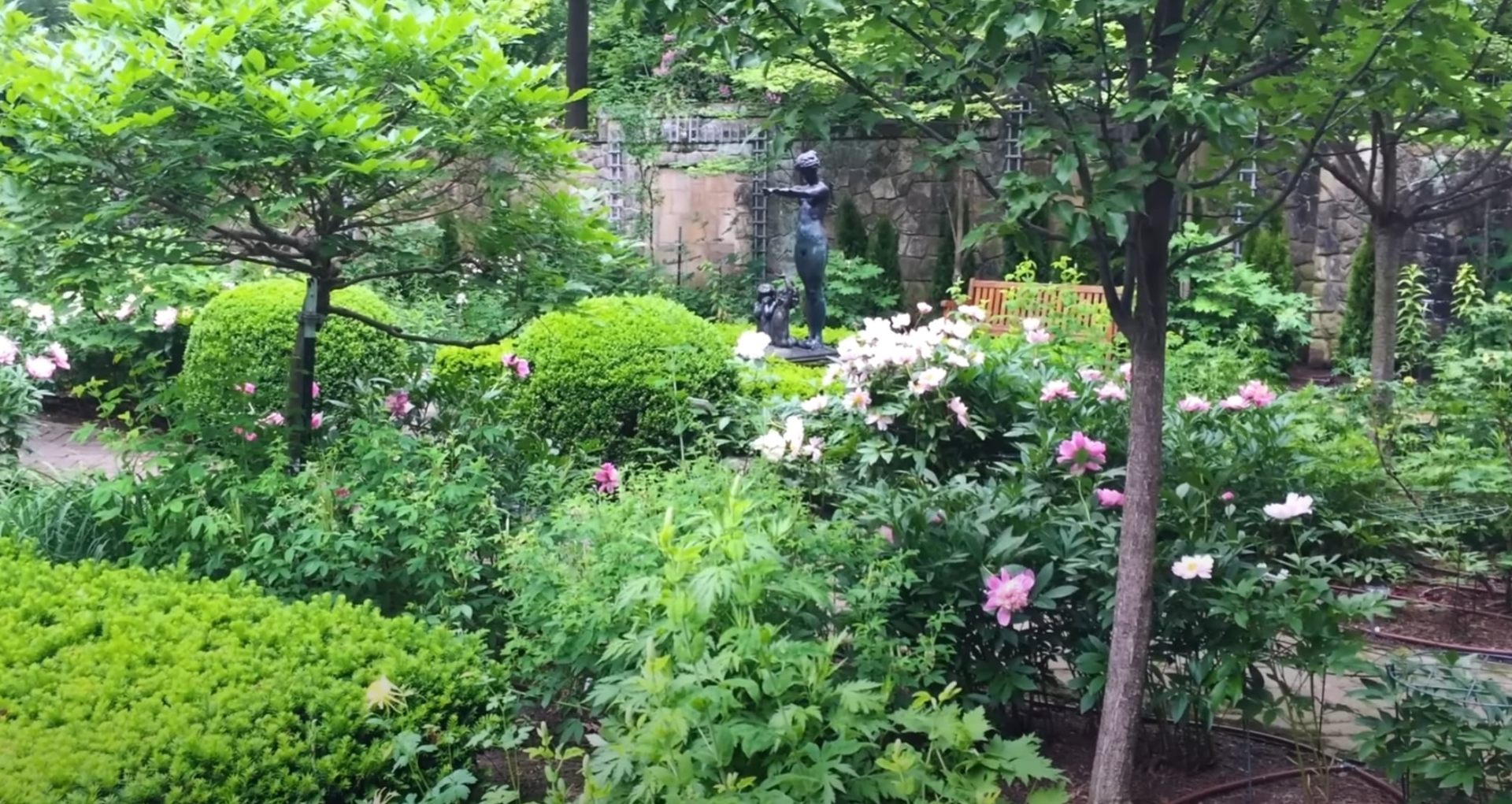 Mature garden installation with seasonal blooms and established trees Lush garden landscape with flowering plants and mature trees